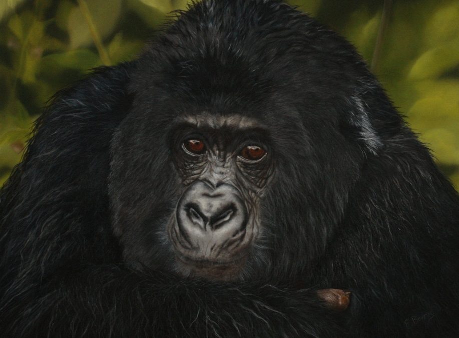 Remembering Great Apes Wildlife Charity